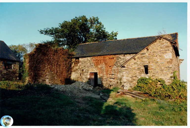 Gîte débroussaillé